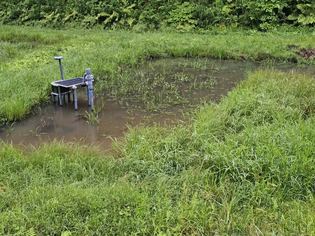 休耕田ビオトープ